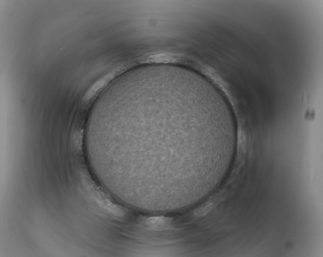 X0000111830153200908131554