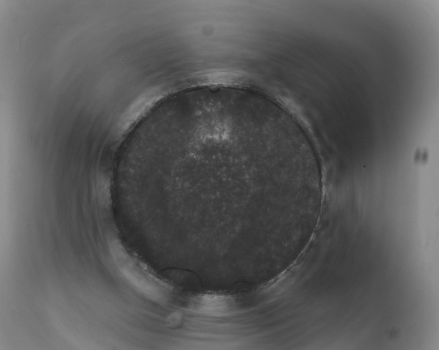 X0000111830154200908131554