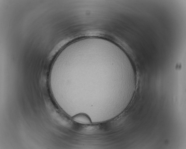 X0000111830155200908131554