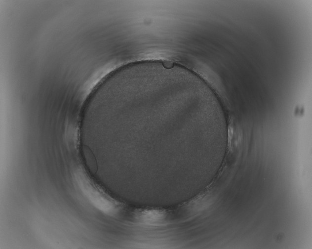 X0000111830156200908131554