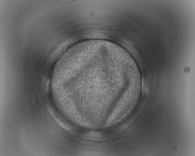 X0000111830157200908131554