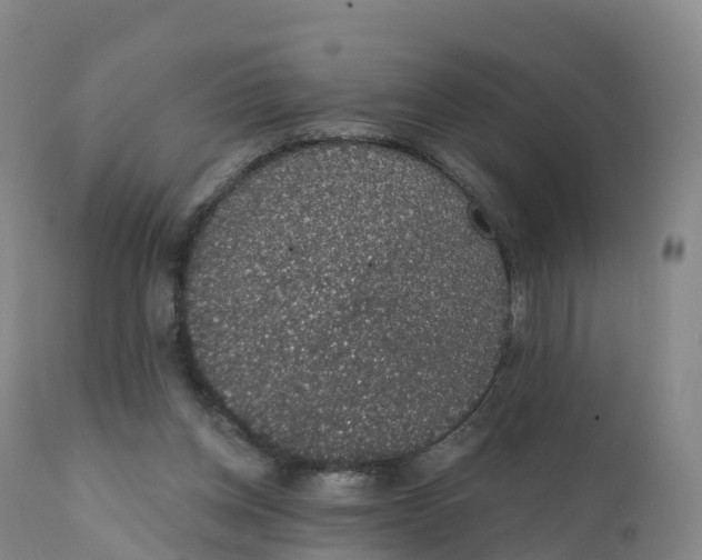 X0000111830158200908131554