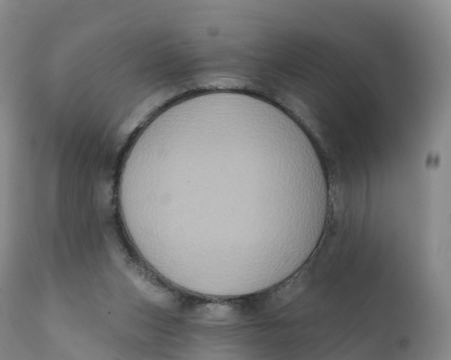 X0000111830159200908131554