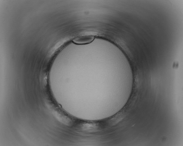 X0000111830160200908131554