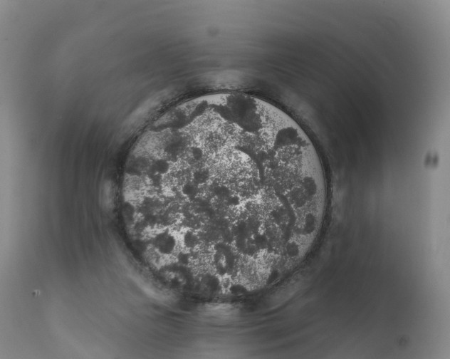 X0000111830161200908131554