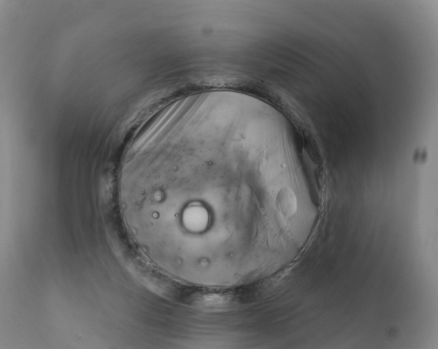 X0000111830163200908131554