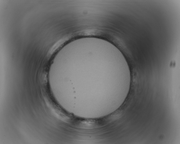 X0000111830164200908131554