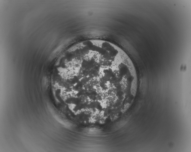 X0000111830165200908131554