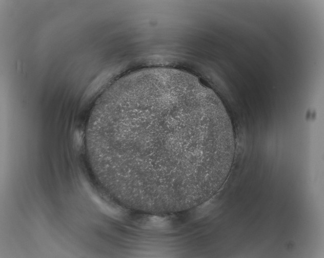 X0000111830166200908131554