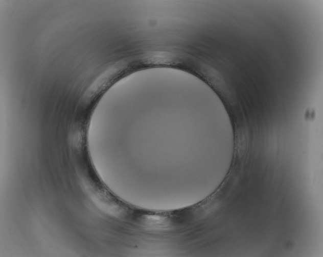 X0000111830167200908131555