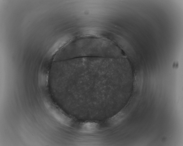 X0000111830168200908131555