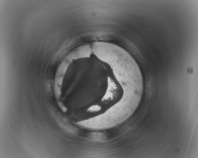 X0000111830169200908131555