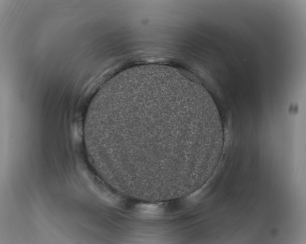 X0000111830170200908131555