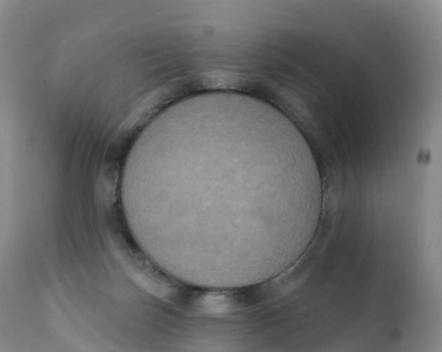 X0000111830171200908131555