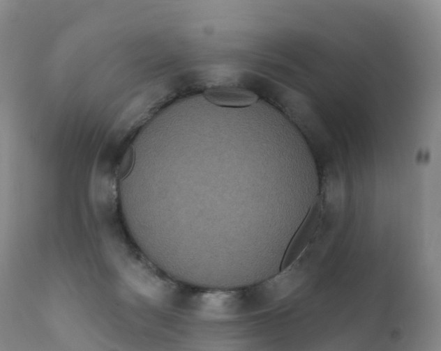 X0000111830172200908131555