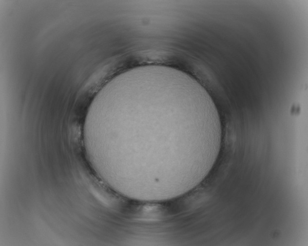 X0000111830173200908131555