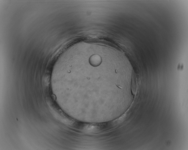 X0000111830174200908131555