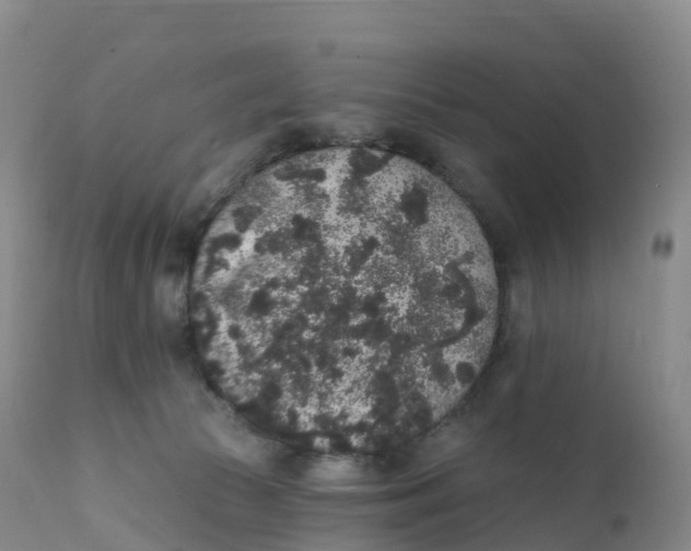 X0000111830177200908131555