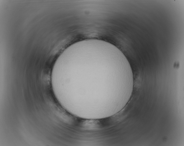 X0000111830179200908131555