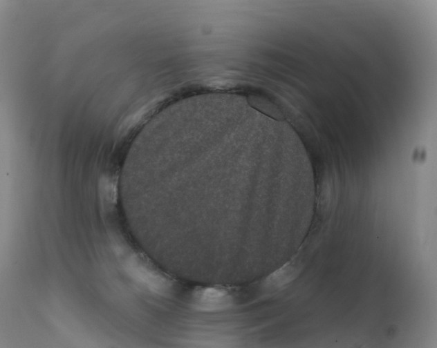 X0000111830180200908131555