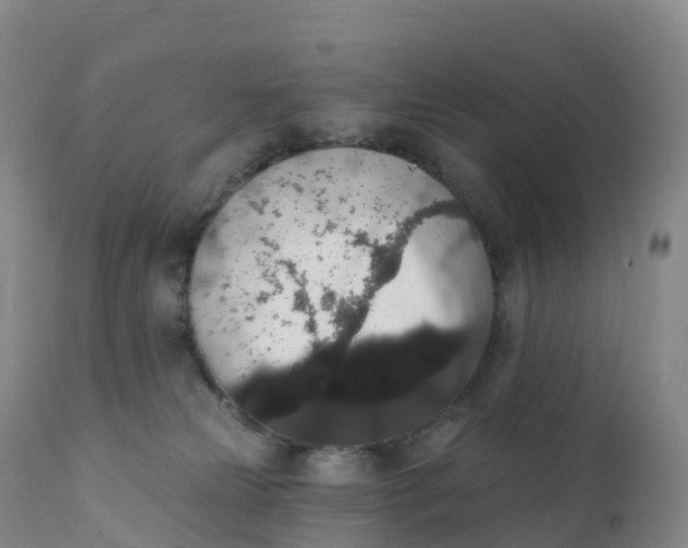 X0000111830181200908131555