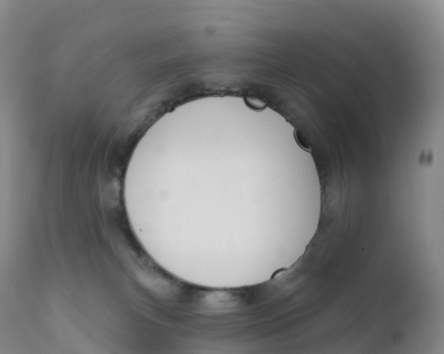 X0000111830183200908131555