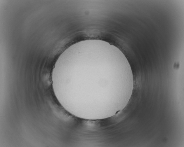 X0000111830187200908131555