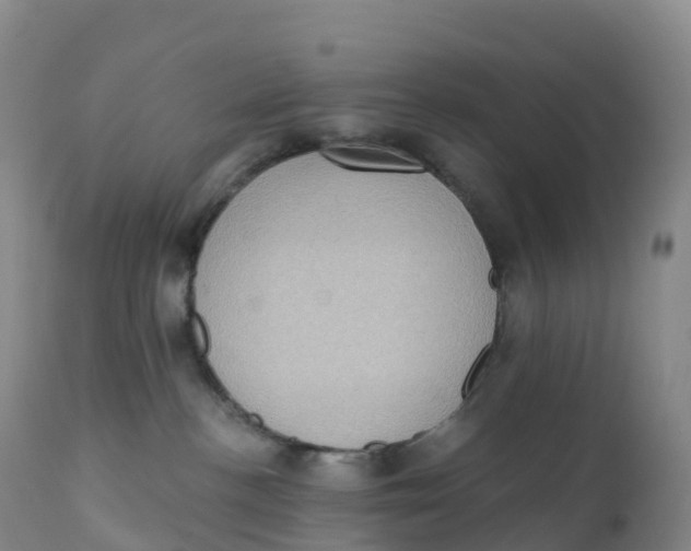 X0000111830188200908131555