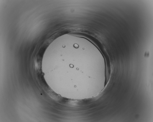 X0000111830190200908131555