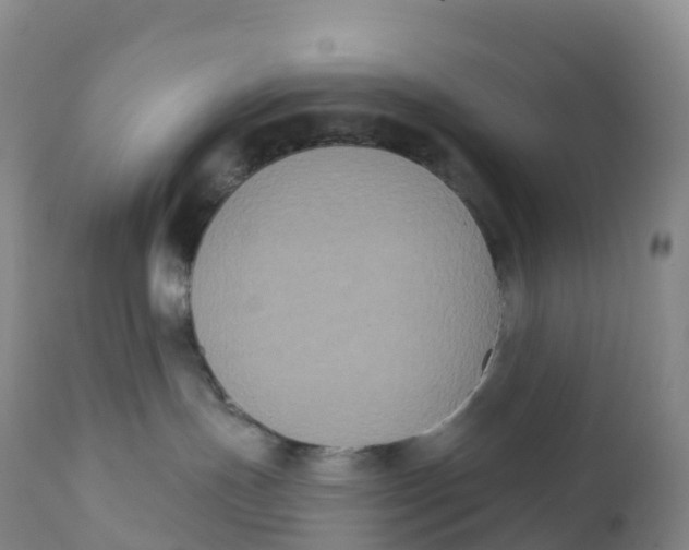 X0000111830191200908131555