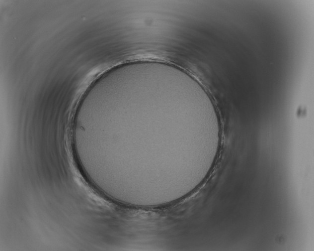 X0000111830193200908131554