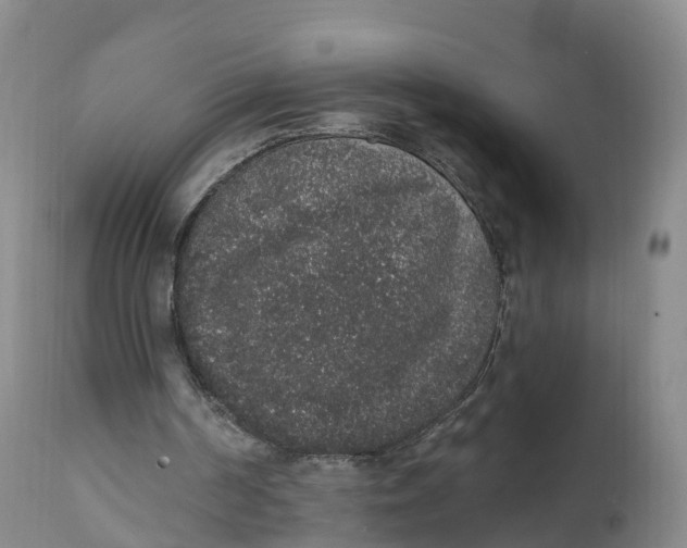 X0000111830194200908131554