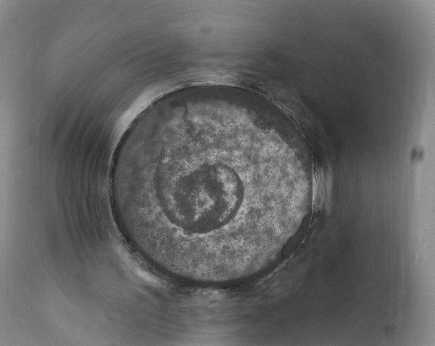 X0000111830195200908131554