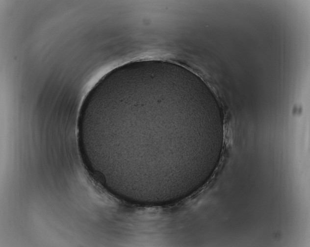 X0000111830196200908131554