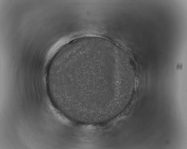 X0000111830197200908131554