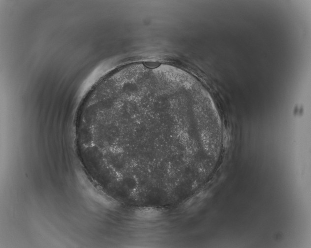 X0000111830198200908131554