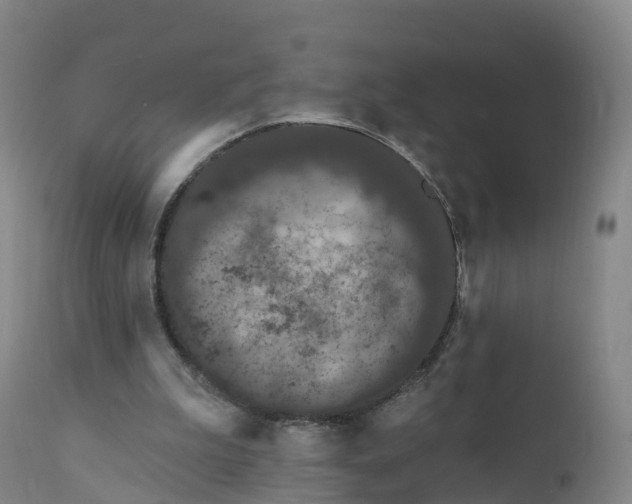 X0000111830199200908131554