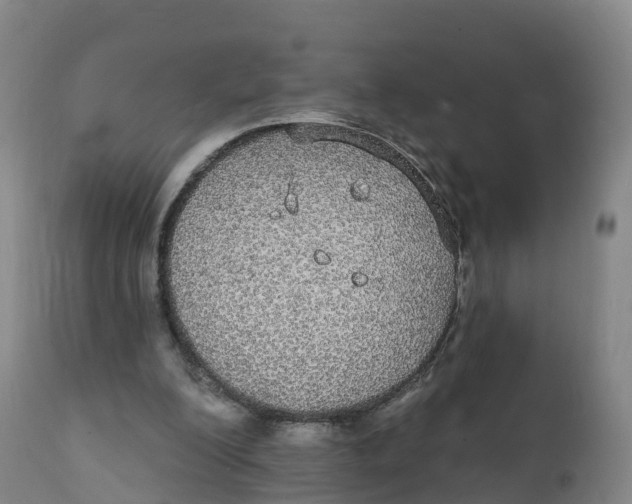 X0000111830200200908131554