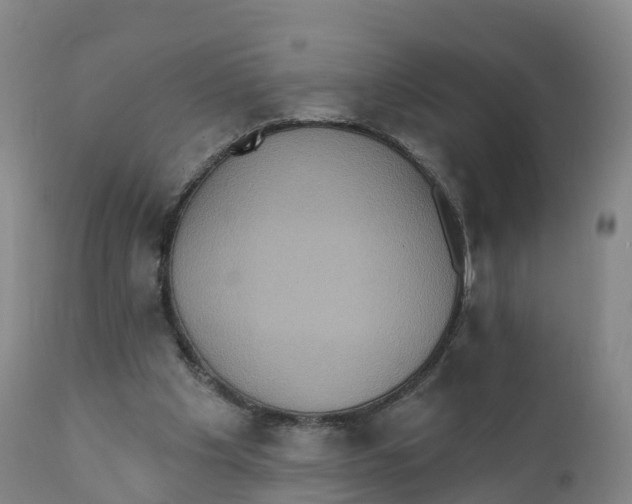 X0000111830201200908131554