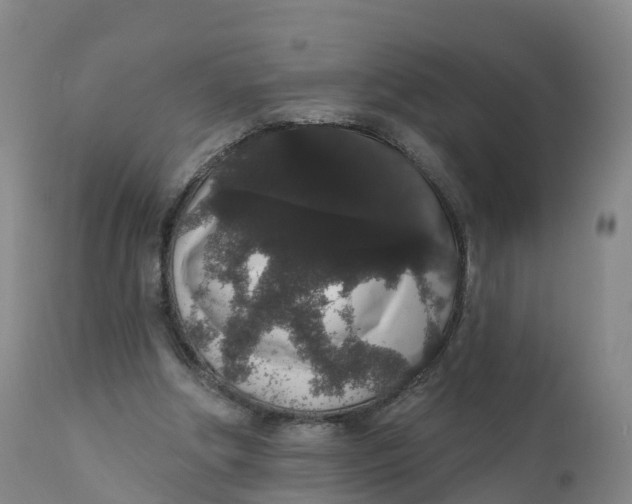 X0000111830202200908131554