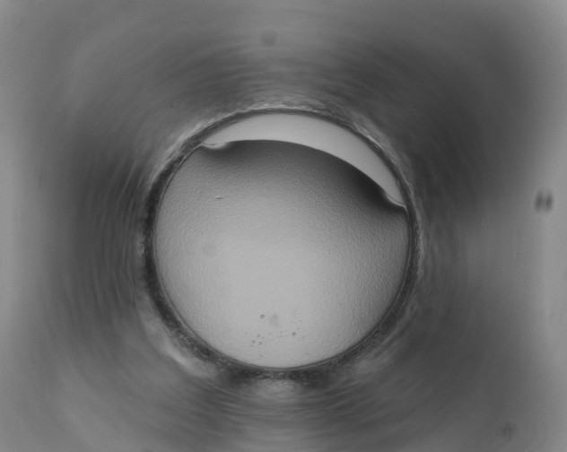 X0000111830203200908131554