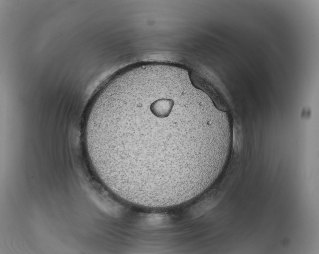 X0000111830204200908131554