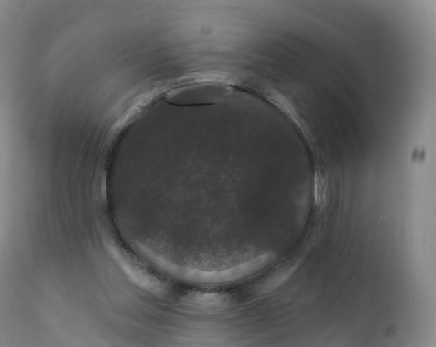 X0000111830205200908131554