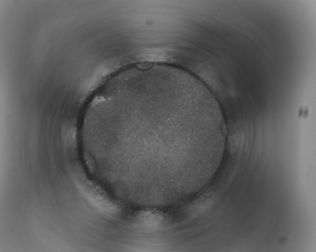 X0000111830207200908131554