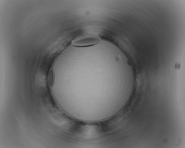 X0000111830209200908131554