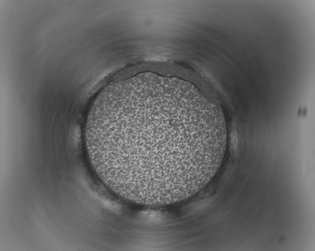 X0000111830211200908131554