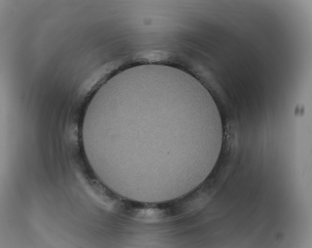 X0000111830212200908131554