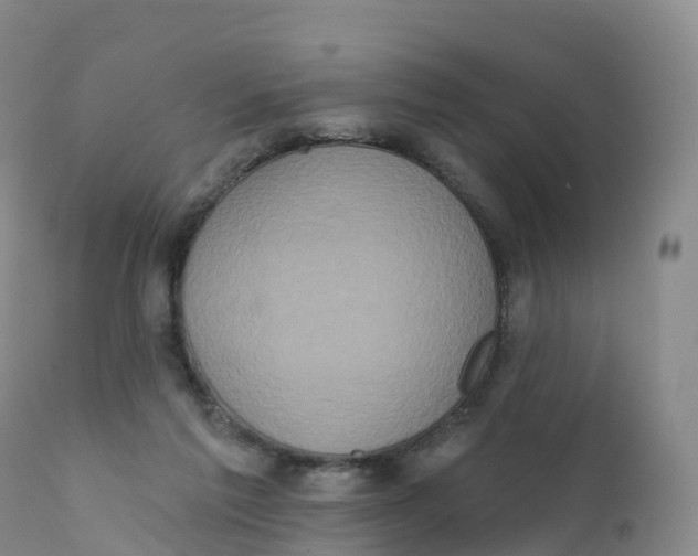 X0000111830213200908131554