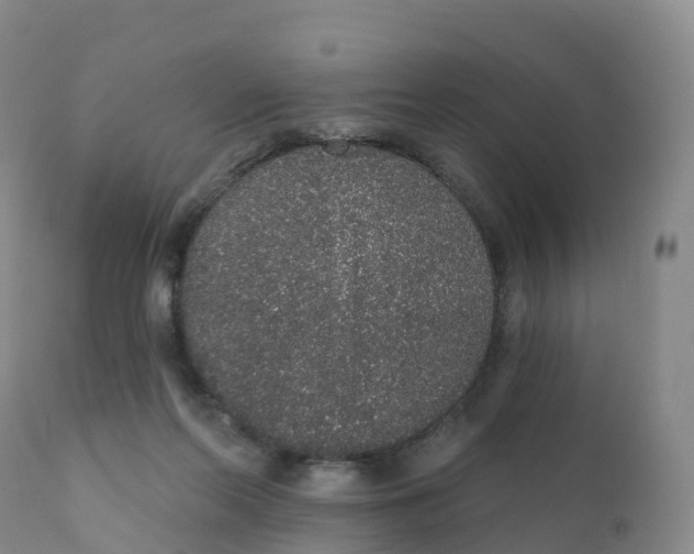 X0000111830214200908131554