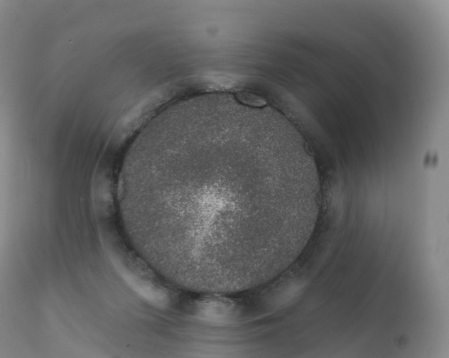 X0000111830215200908131554